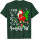 I Can Get You on the Naughty List Funny Santa Claus Xmas T-Shirt - T-Shirt | Forest