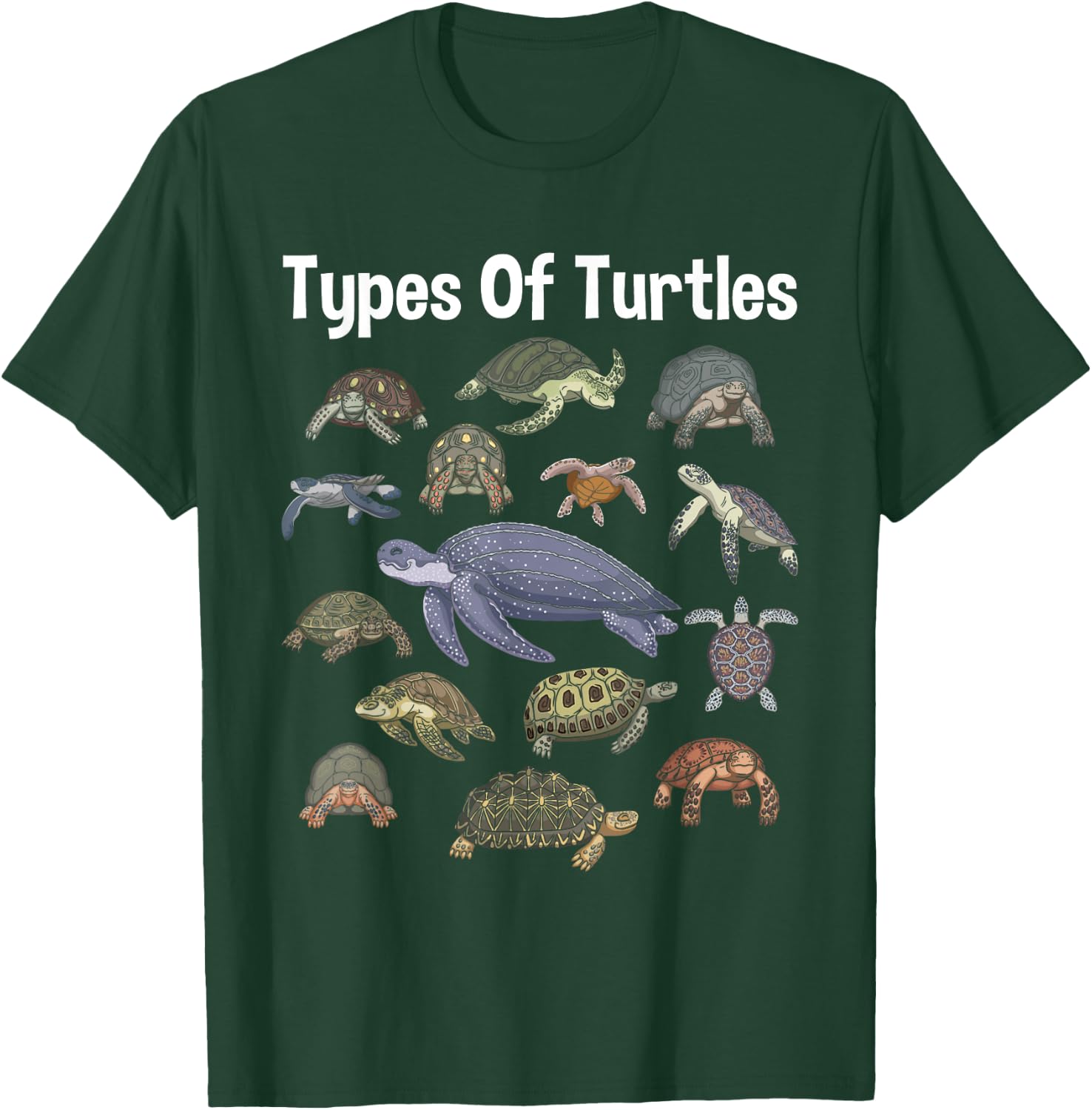 Types Of Turtles - Sea Ocean Animal Reptile Lover Zookeeper T-Shirt - T-Shirt | Forest