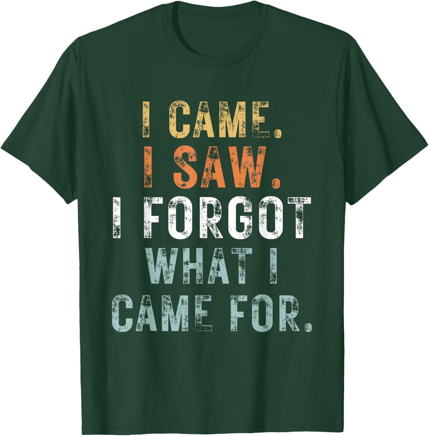 I Came I Saw I Forgot what i came for Funny Graphic Design T-Shirt - T-Shirt | Forest