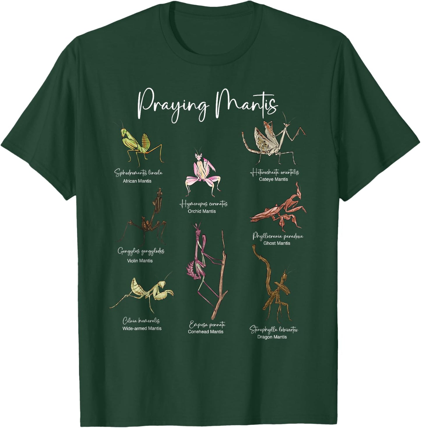Types Of Praying Mantis Insect Collector Entomologist T-Shirt - T-Shirt | Forest