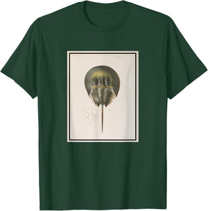 Vintage Horseshoe Crab Illustration (1844) T-Shirt - T-Shirt | Forest