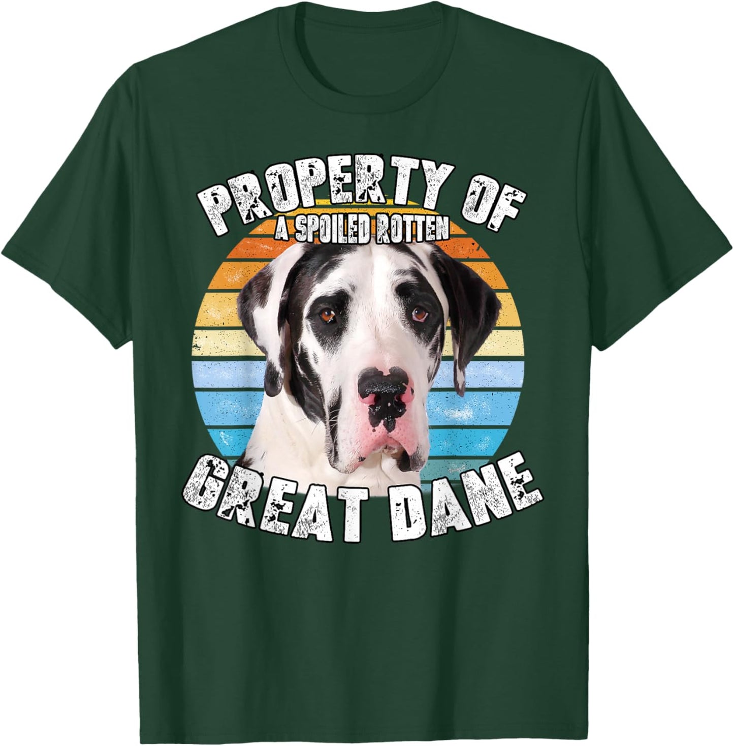 Great Dane Harlequin Vintage Retro Property Of T-Shirt - T-Shirt | Forest