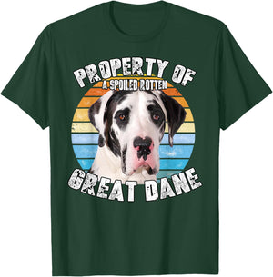Great Dane Harlequin Vintage Retro Property Of T-Shirt - T-Shirt | Forest