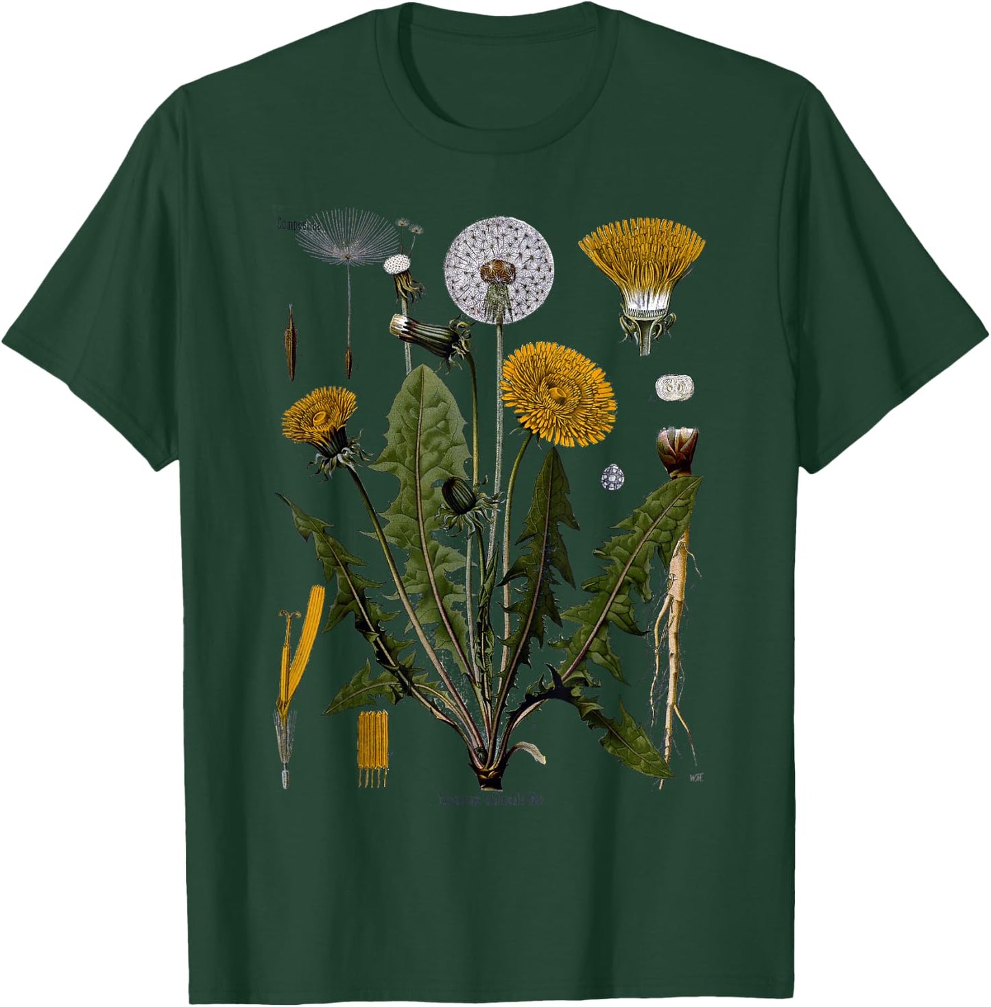 Dandelion Vintage Botanical, Herbalist Gardening T-Shirt - T-Shirt | Forest