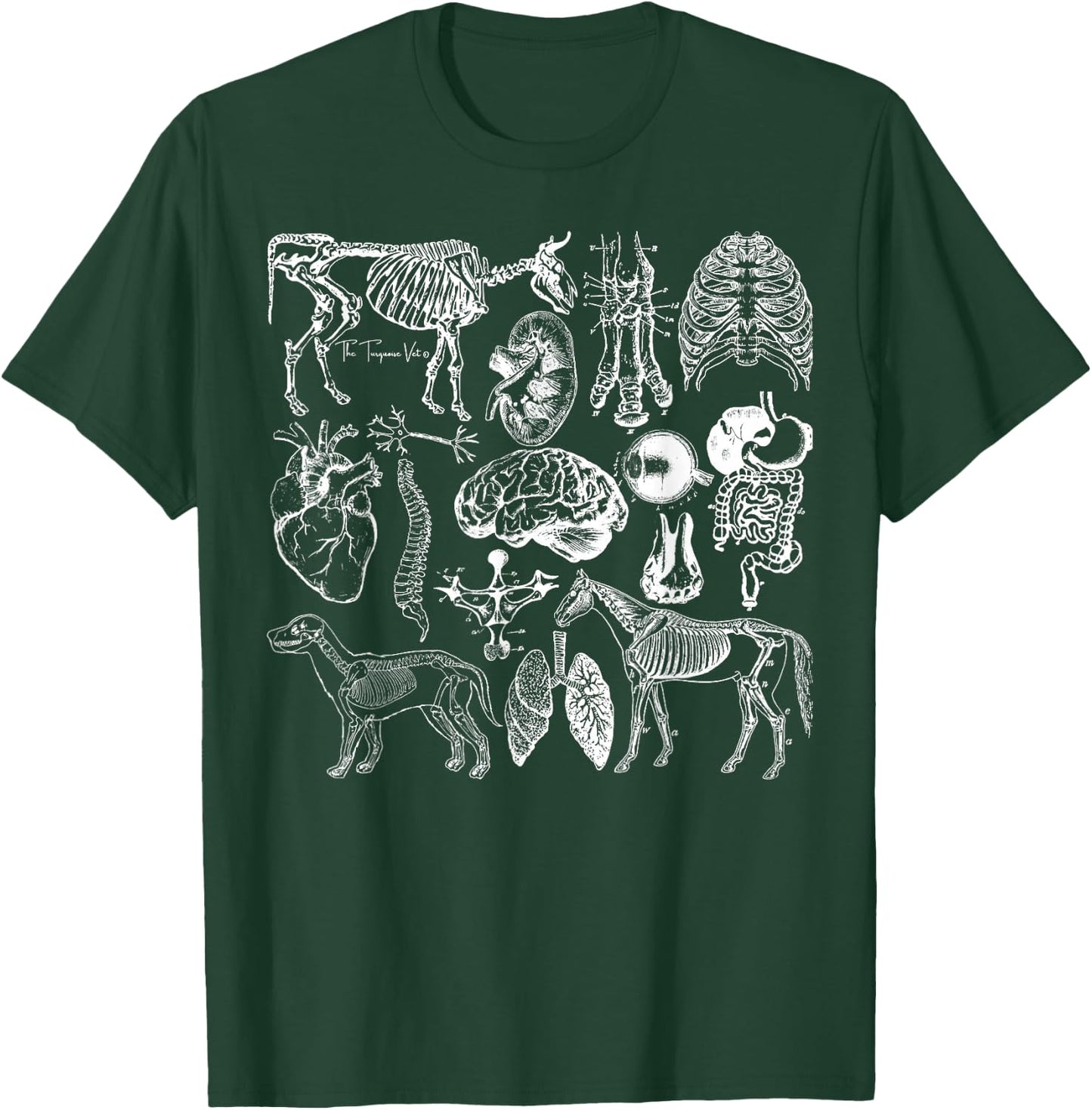 Veterinary Anatomy Animal Design T-Shirt - T-Shirt | Forest