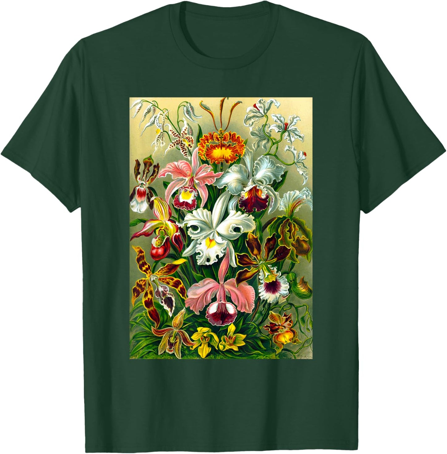 Ernst Haeckel Vintage Biological Botanical Orchid Art T-Shirt - T-Shirt | Forest