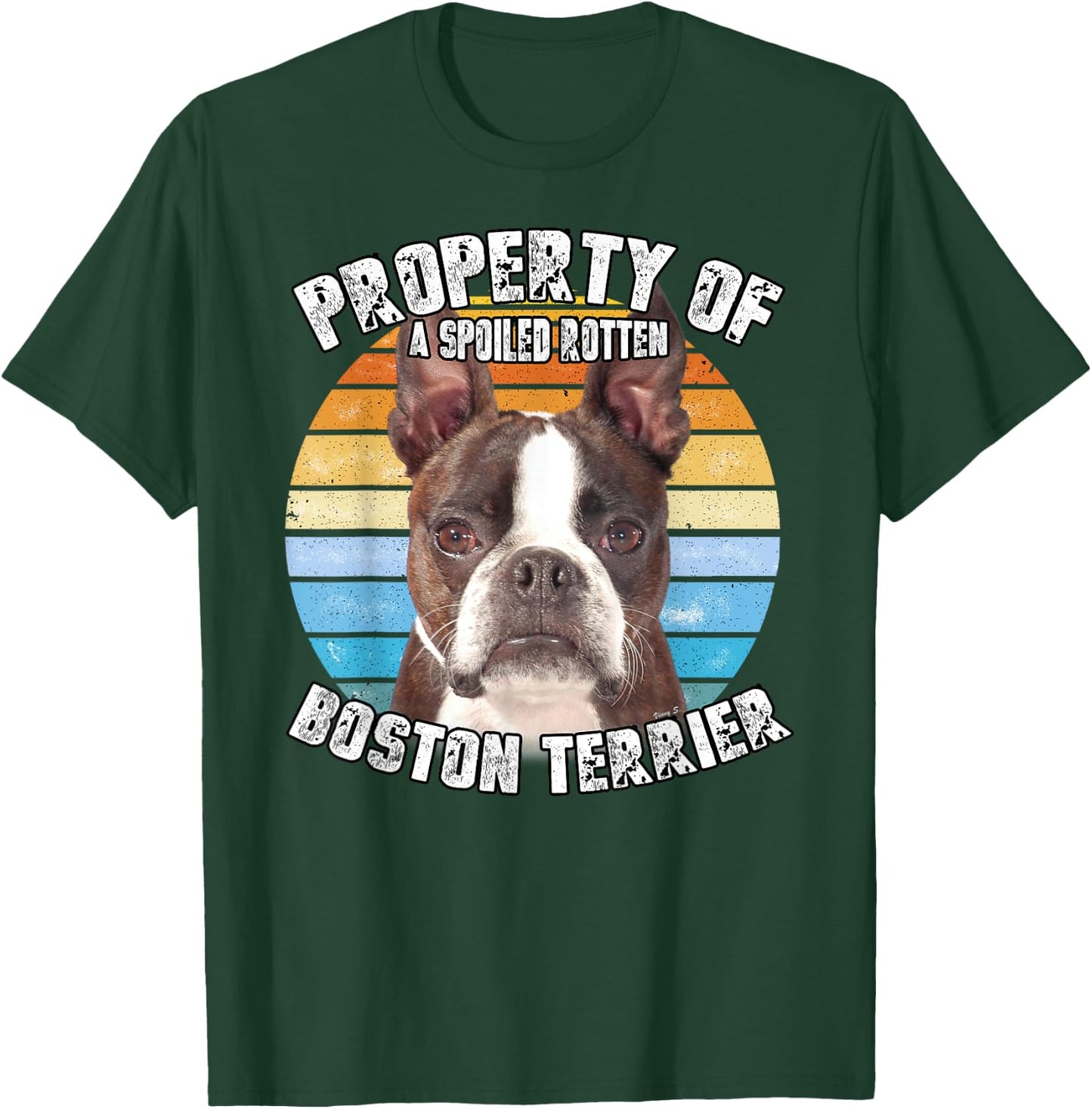 Boston Terrier Brindle Property Of T-Shirt - T-Shirt | Forest