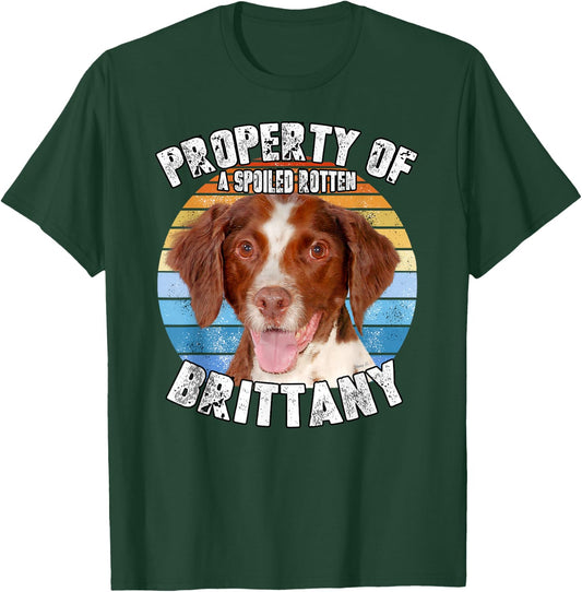 Brittany Spaniel Property Of T-Shirt - T-Shirt | Forest