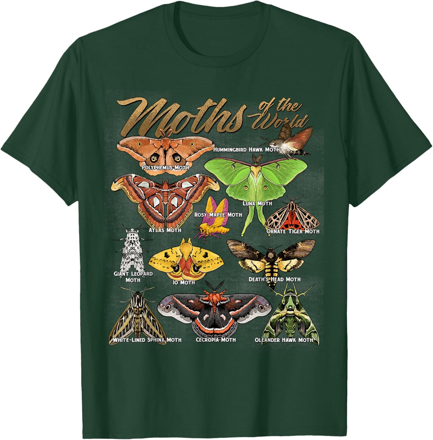Moths Animals of The World Educational Insect Moth Lover T-Shirt - T-Shirt | Forest