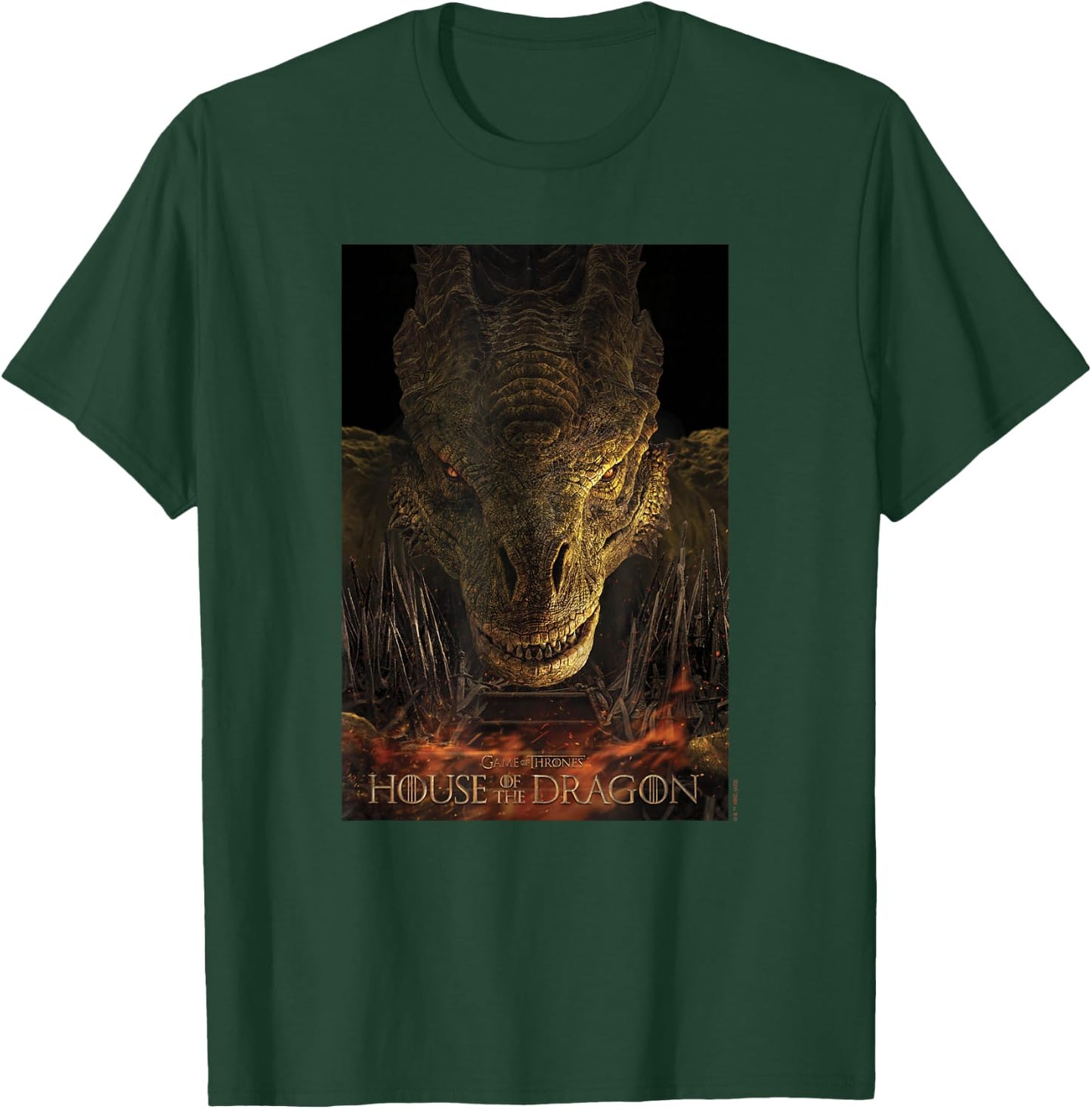 House of the Dragon Syrax Fire And Blood Poster T-Shirt - T-Shirt | Forest