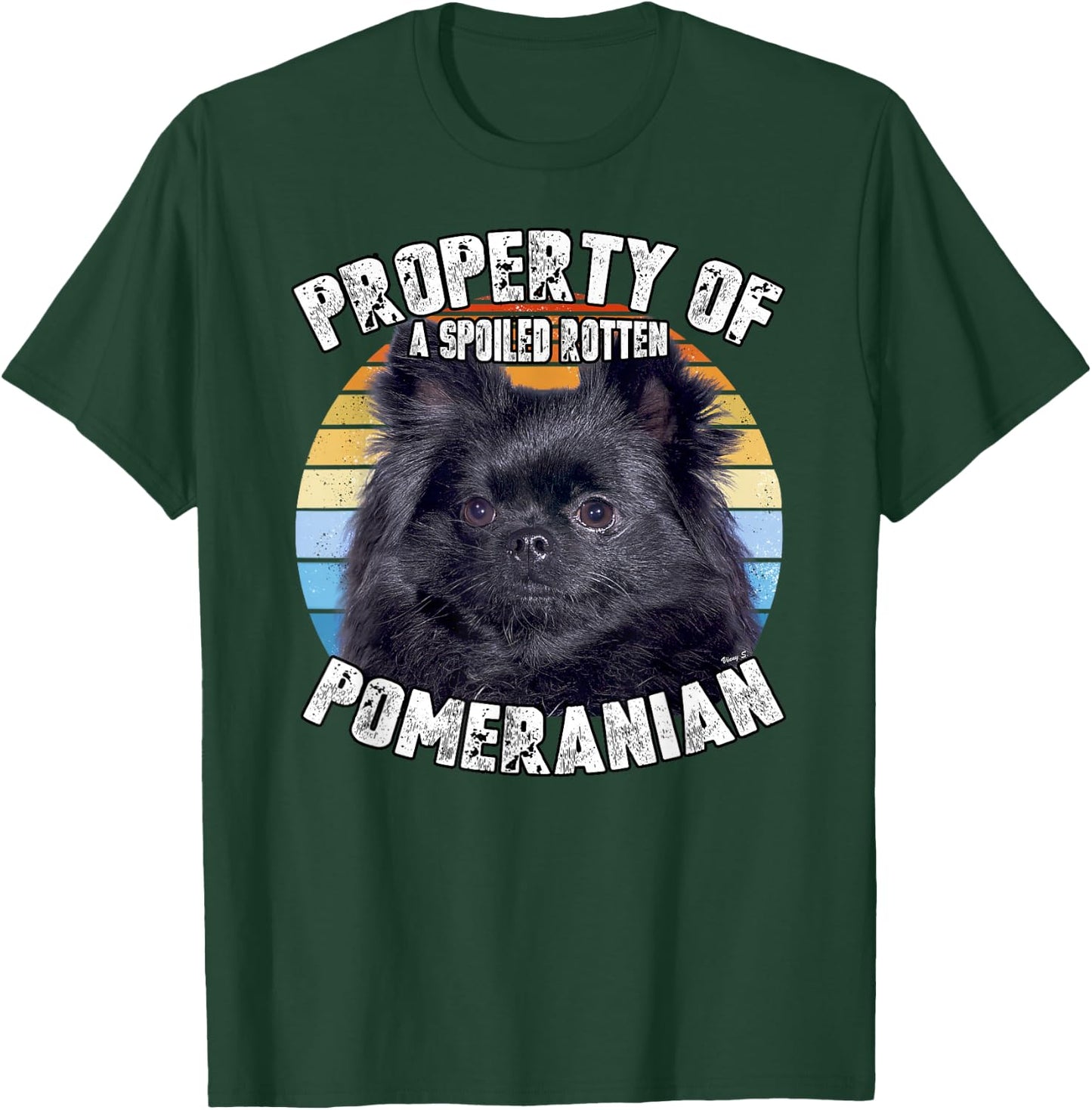Pomeranian Black Property Of T-Shirt - T-Shirt | Forest