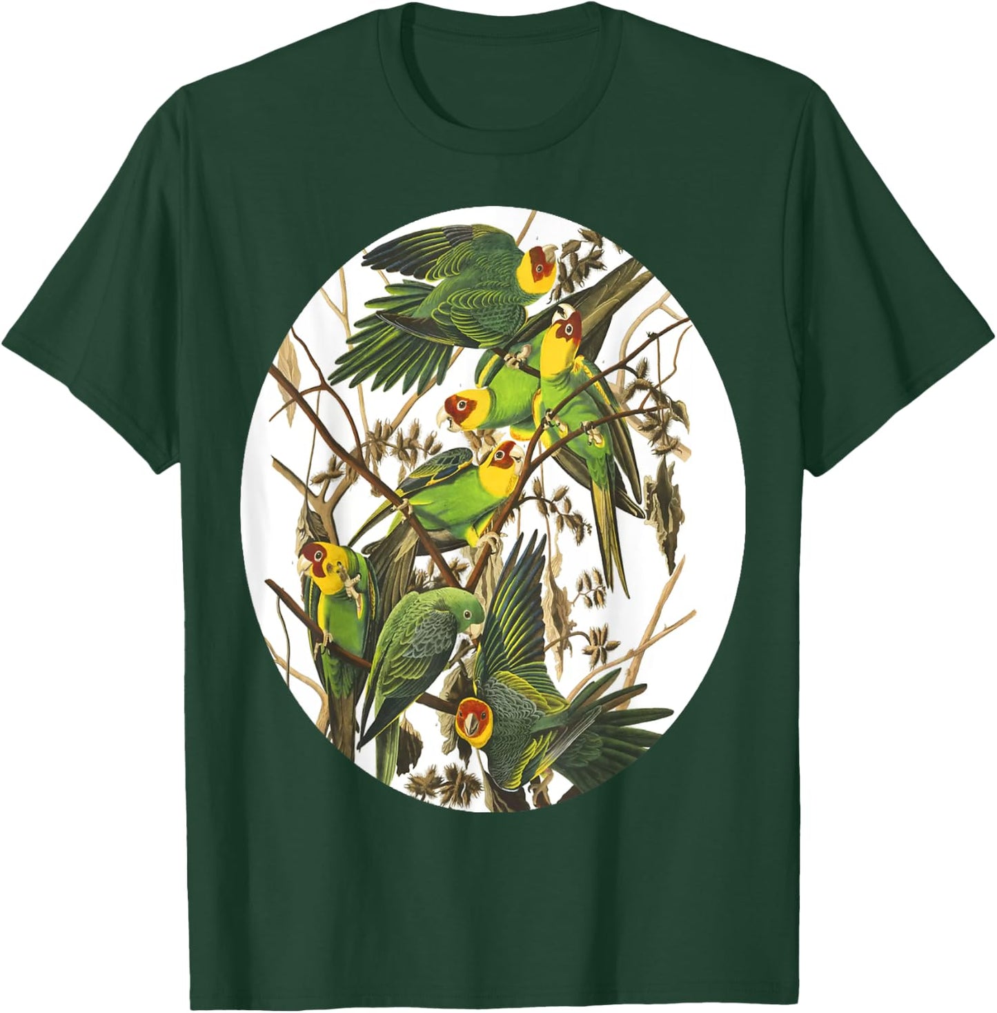 Birds Of North America T-Shirt - T-Shirt | Forest
