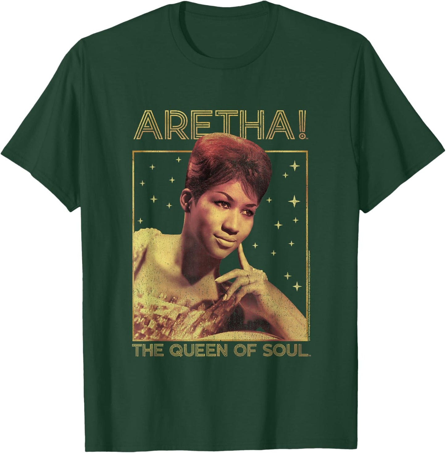 Aretha Franklin Portrait of a Queen T-Shirt - T-Shirt | Forest