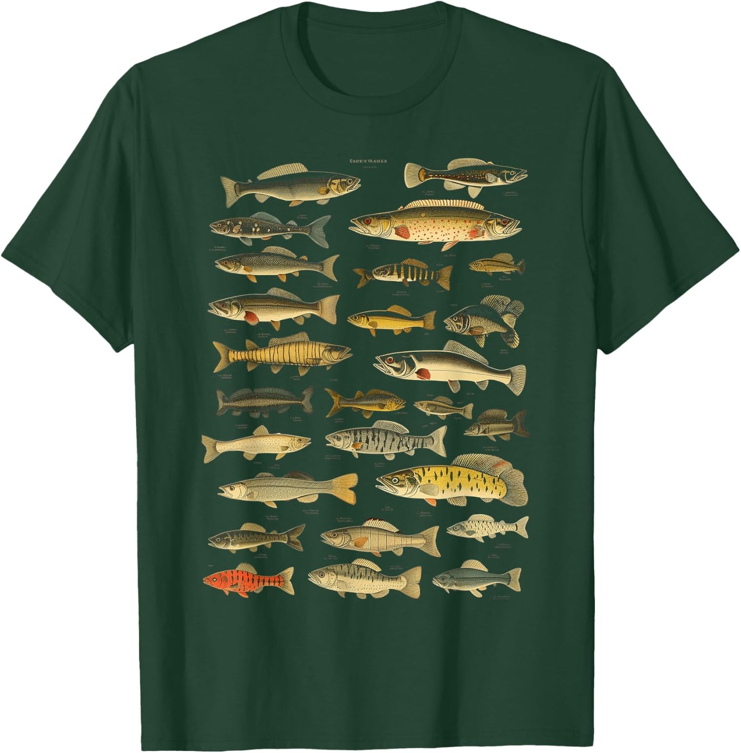 Types Of Freshwater Fish Species Fishing Graphic T-Shirt - T-Shirt | Forest
