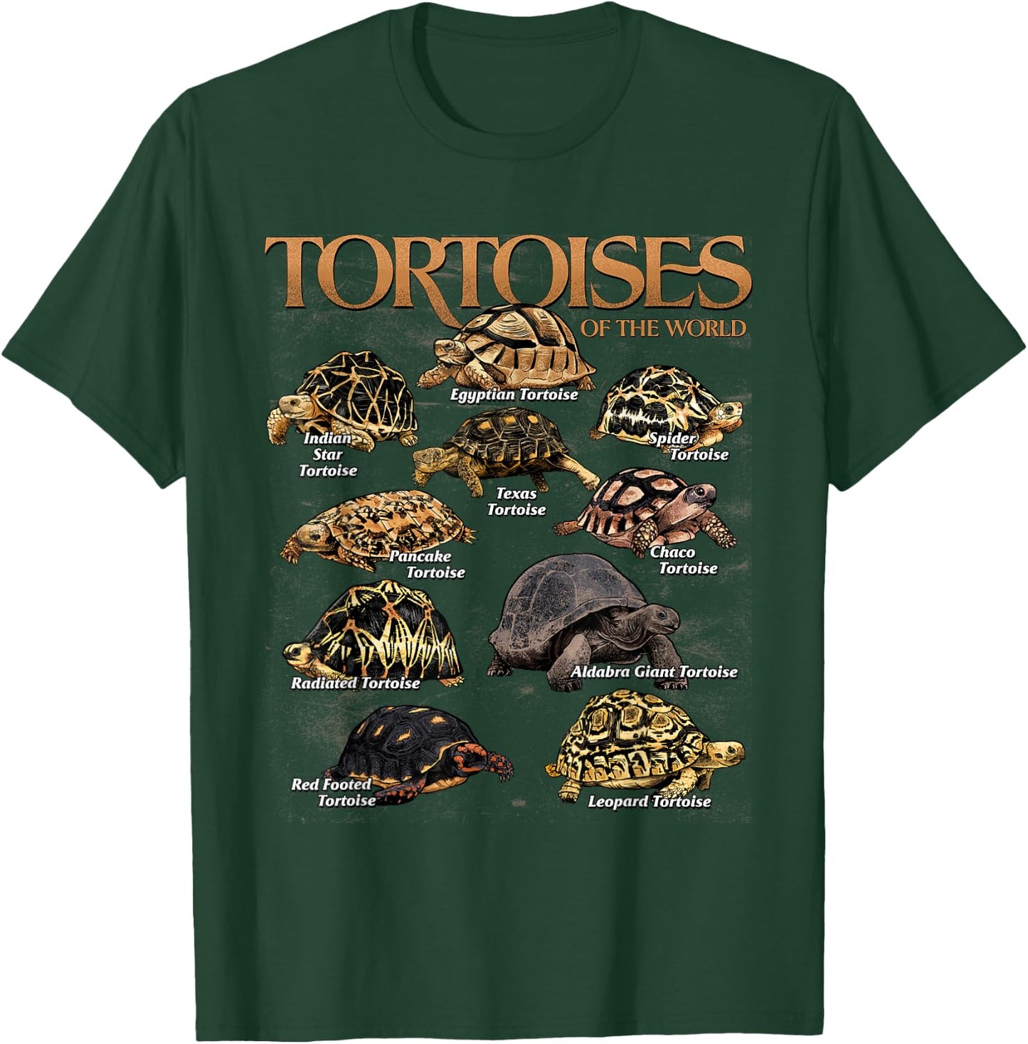 Tortoises Animals of The World Educational Sea Turtle Lover T-Shirt - T-Shirt | Forest