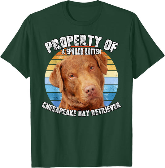 Chesapeake Bay Retriever Property Of T-Shirt - T-Shirt | Forest