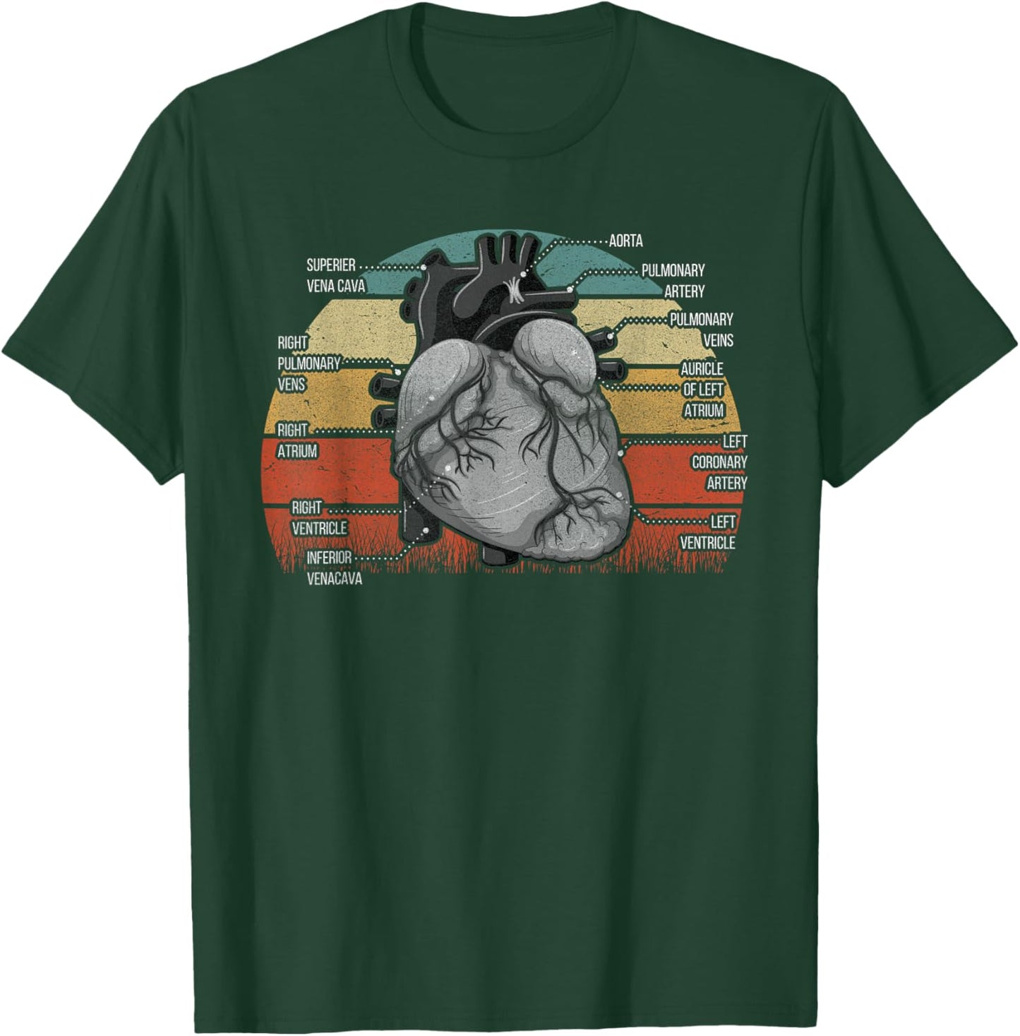 Parts Of Heart Cardiology Men Women Anatomical Cardiac T-Shirt - T-Shirt | Forest
