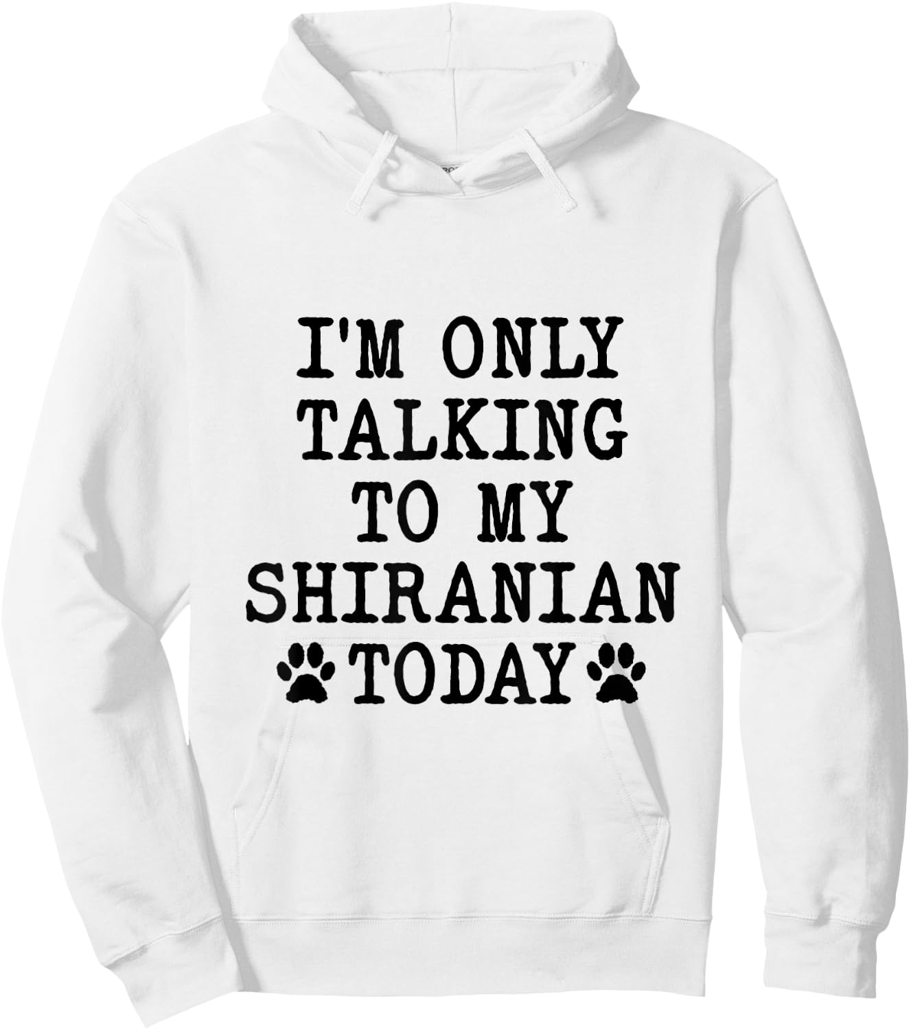 I'm Only Talking To My Shiranian Today Pomshi Shih A Pom Hoodie - Hoodie | White
