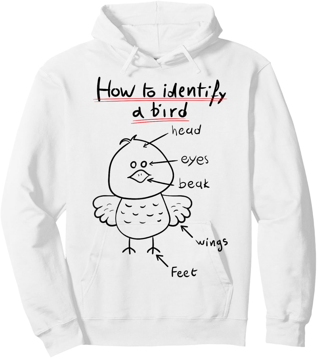 How To Identify A Bird, Funny Physiology Study Diagram Hoodie - Hoodie | White