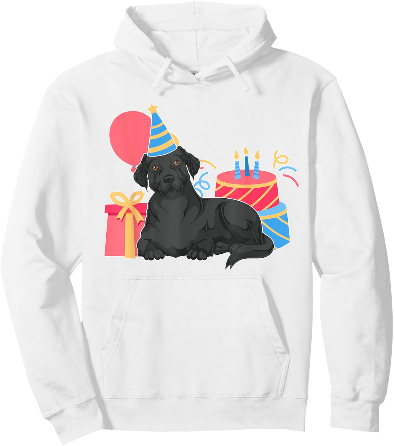 Black Labrador Lover Dog Owner Kids Birthday Party Black Lab Hoodie - Hoodie | White