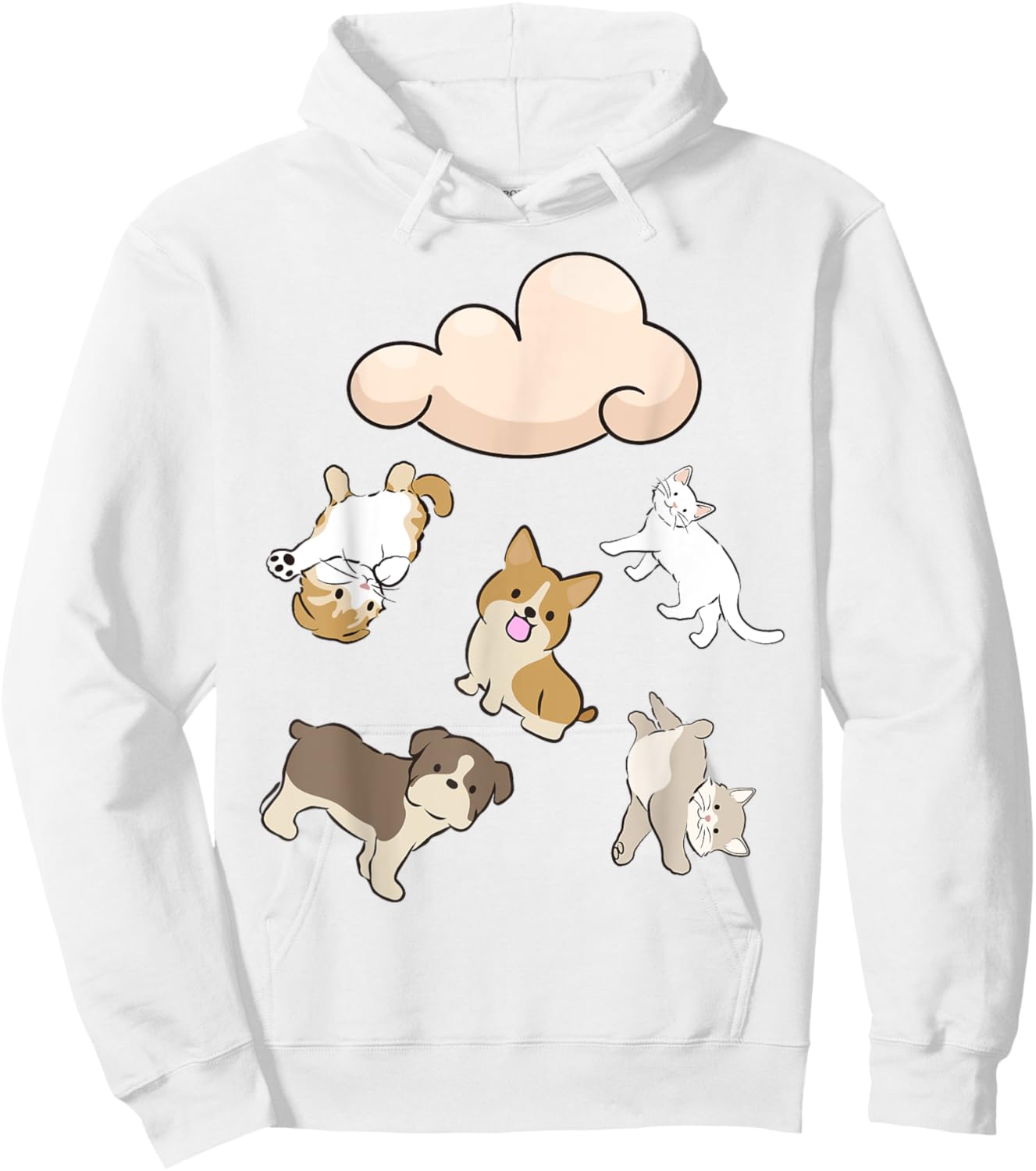 Funny Idiom Raining Cats and Dogs Kitten Puppy for Pet Lover Hoodie - Hoodie | White