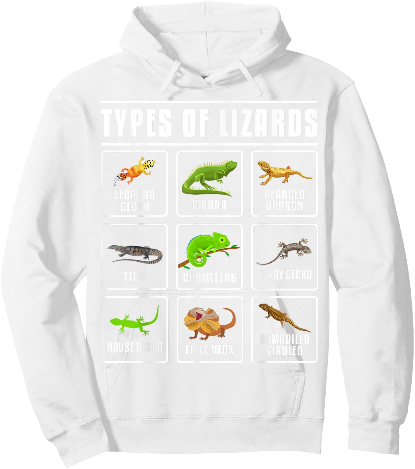 Types of Lizards Lizard Reptiles Hoodie - Hoodie | White