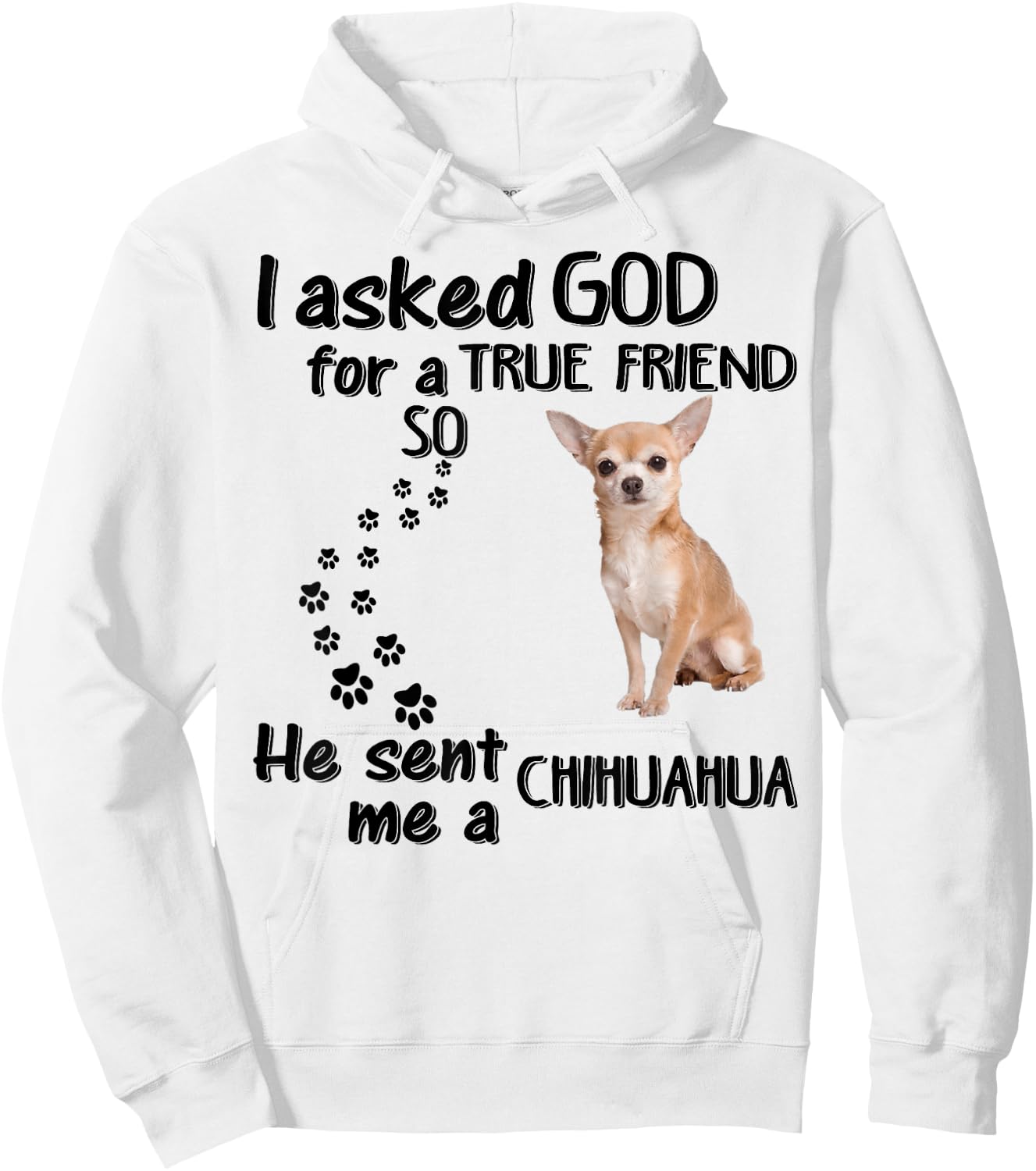 I Asked God For True Friend So He Sent Chihuahua Hoodie - Hoodie | White