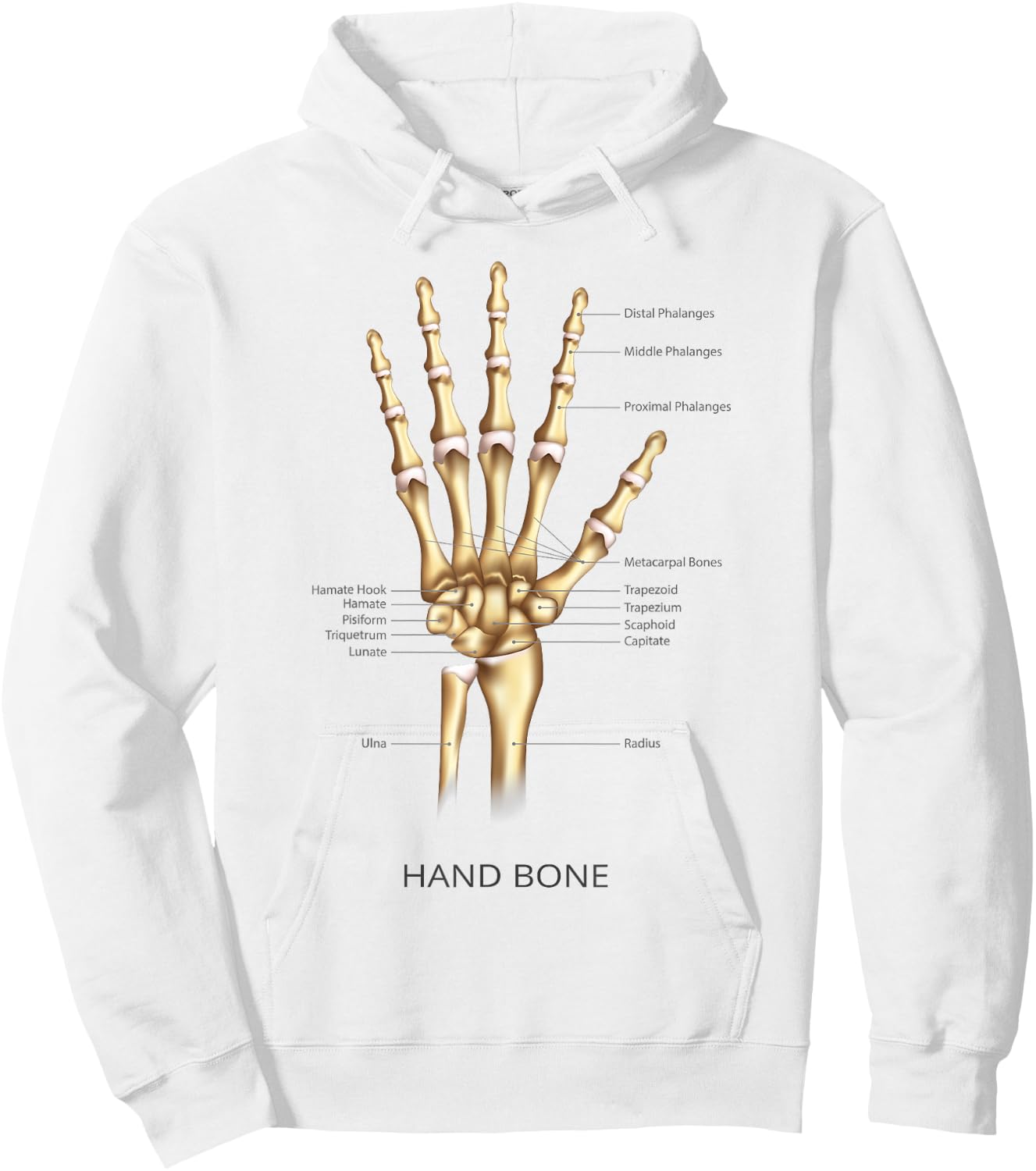 Funny Anatomy Hand Bone Human Anatomical Science Education Hoodie - Hoodie | White
