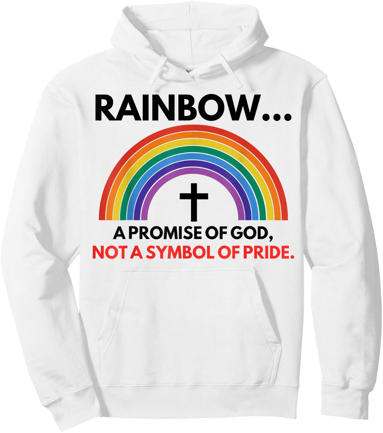 Rainbow A Promise Of God Not A Symbol Of Pride Hoodie - Hoodie | White