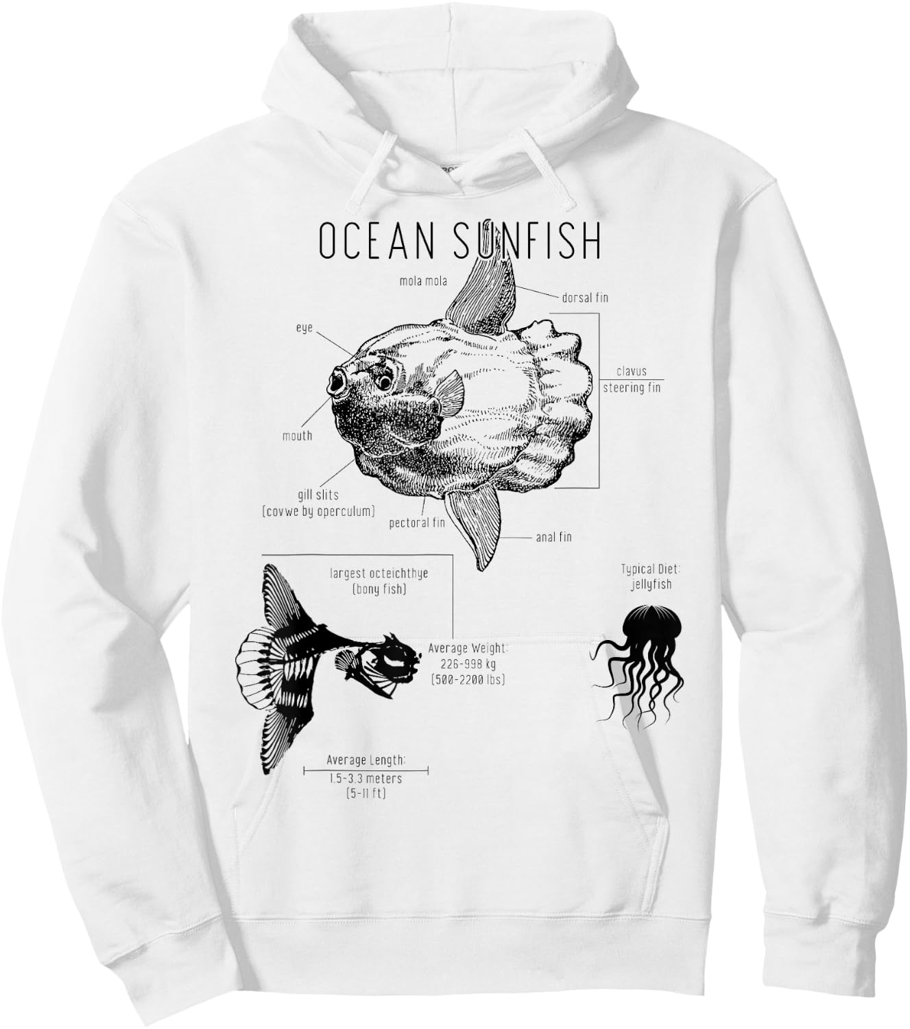 Ocean Sunfish Common Mola Anatomy Mola Mola Hoodie - Hoodie | White