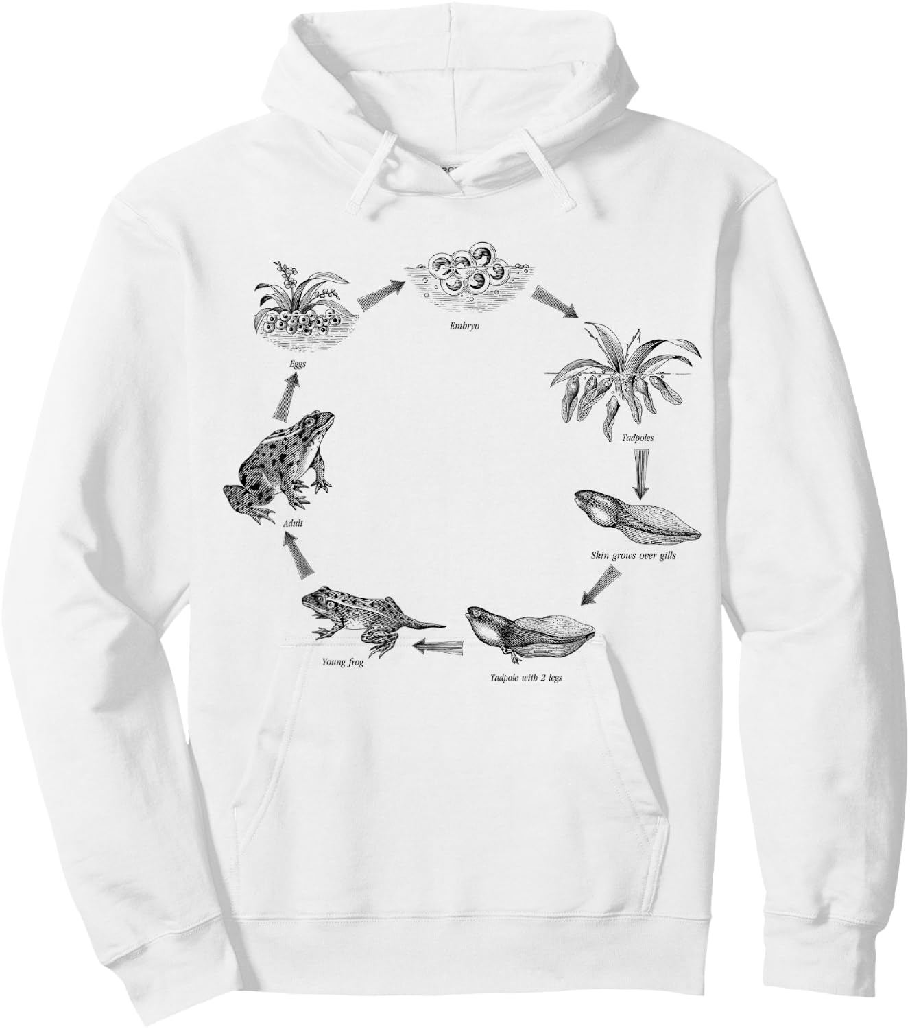 Life cycle of frog, biologist, zoologist, Herpetologist Hoodie - Hoodie | White