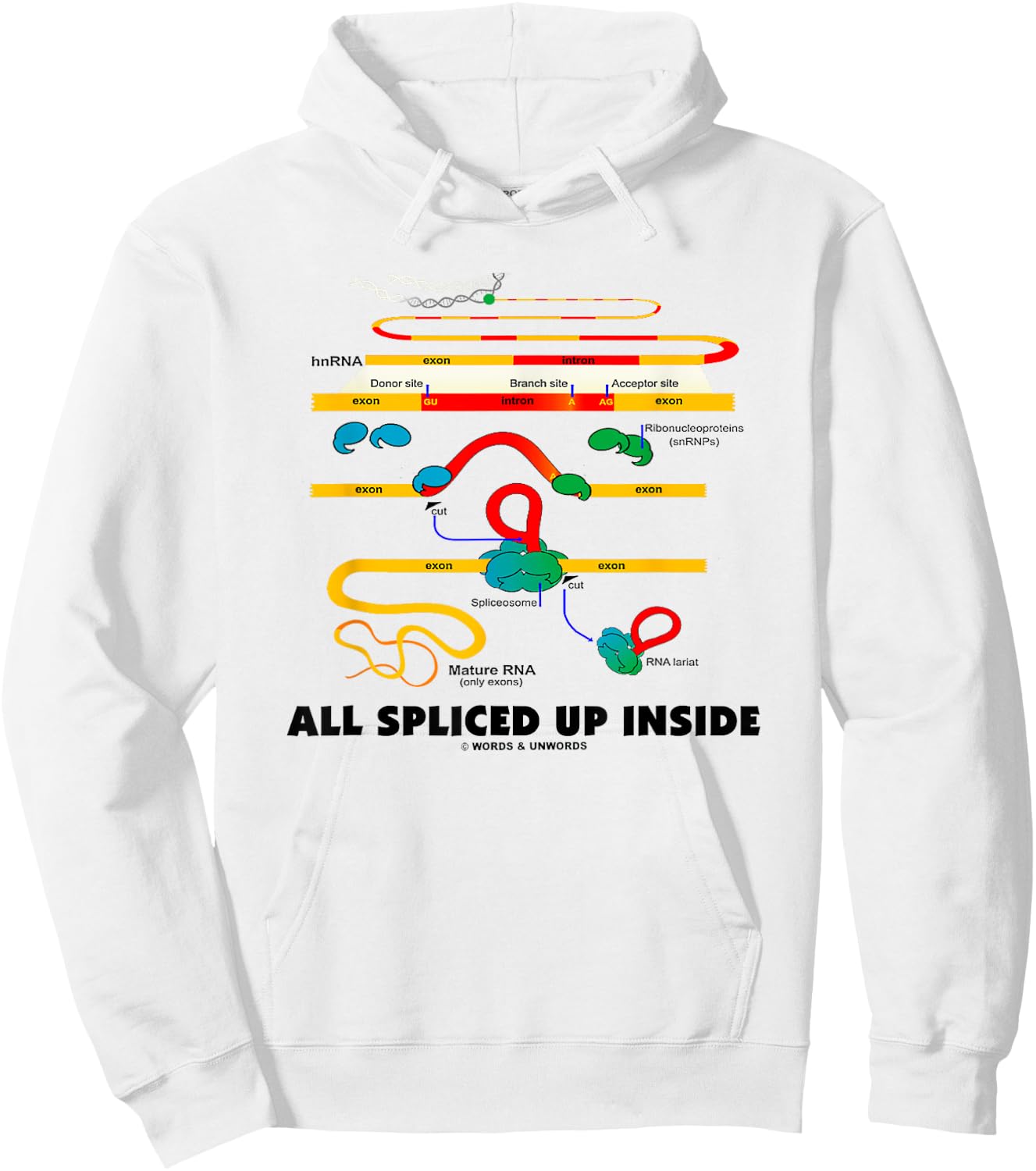 All Spliced Up Inside Mature RNA Gene Splicing Geek Humor Hoodie - Hoodie | White