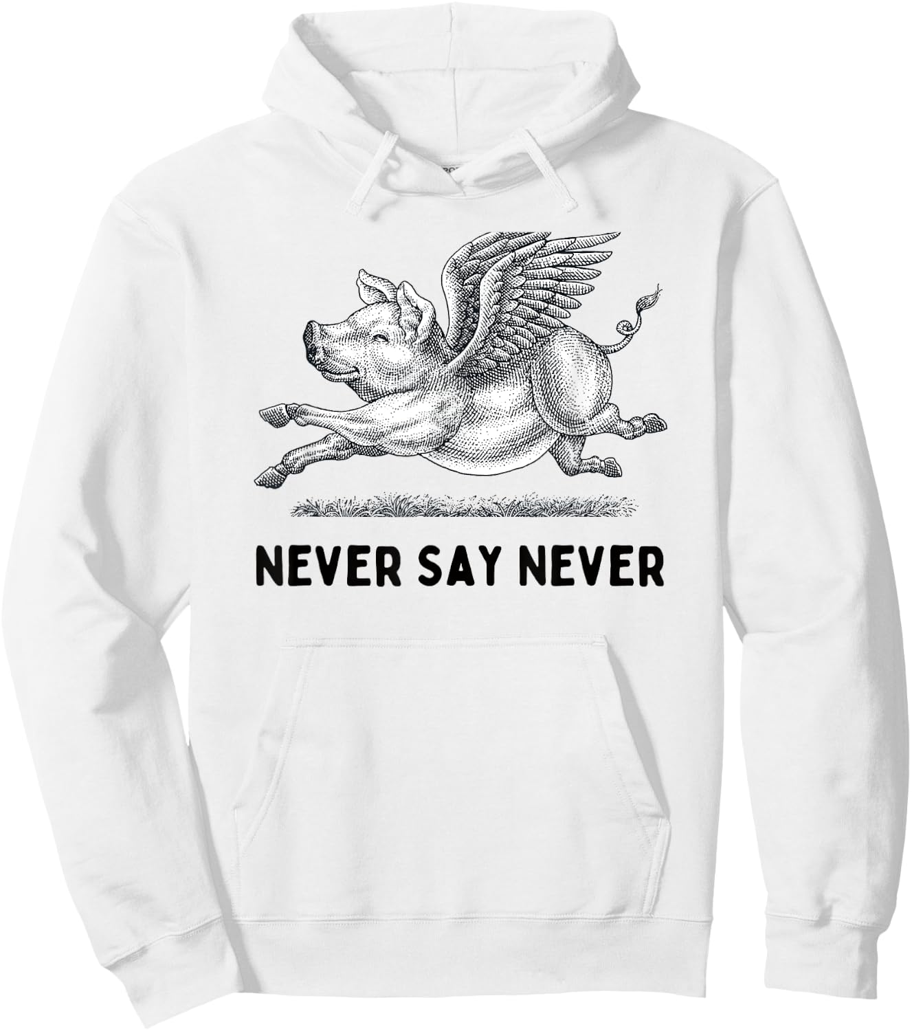 Never Say Never Inspiring Flying Pig Embrace Impossibity Hoodie - Hoodie | White