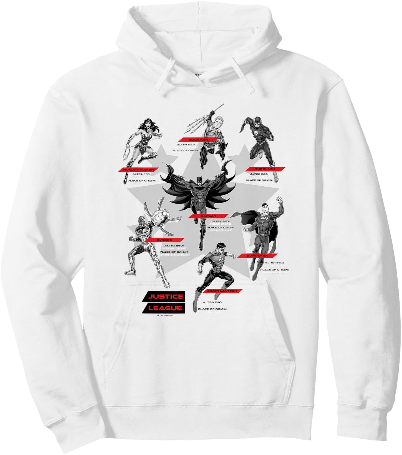 DC Comics Justice League Group Shot Members Logo Hoodie - Hoodie | White