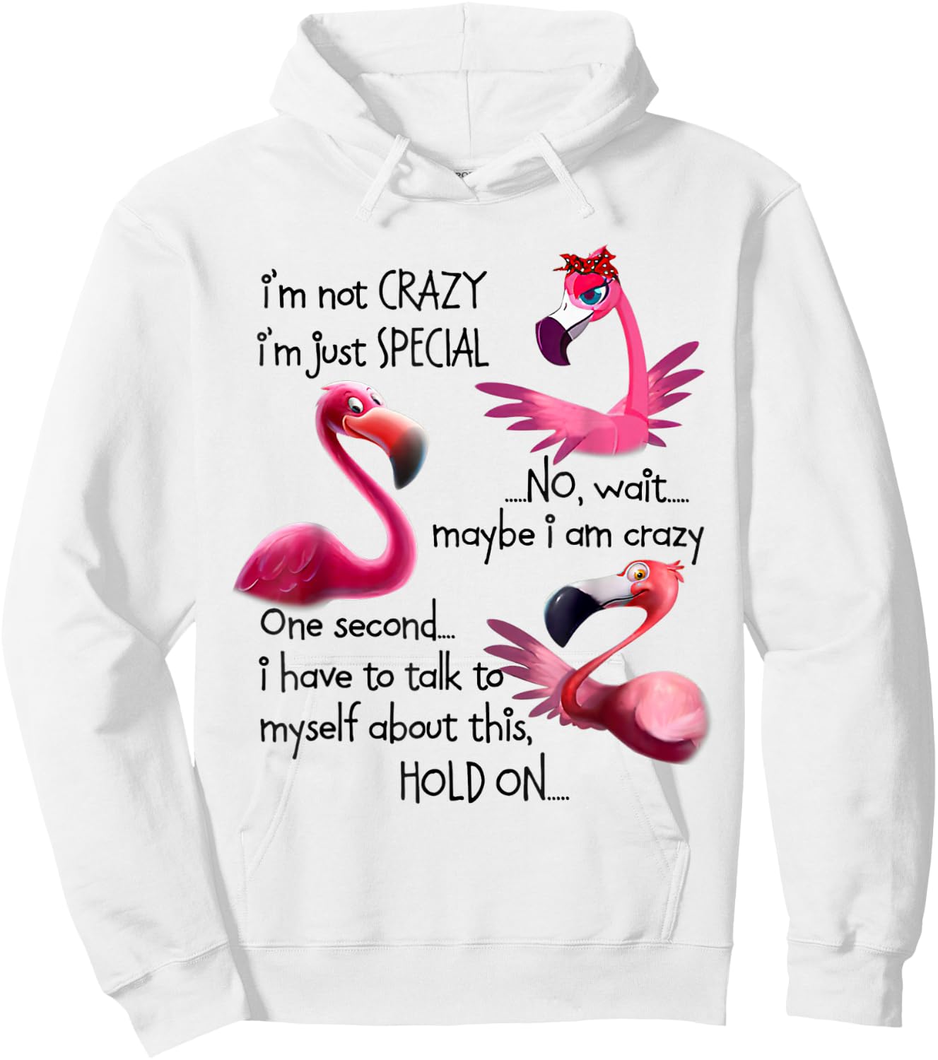 I'm Not Crazy I'm Just Special Funny Flamingo Saying Hoodie - Hoodie | White