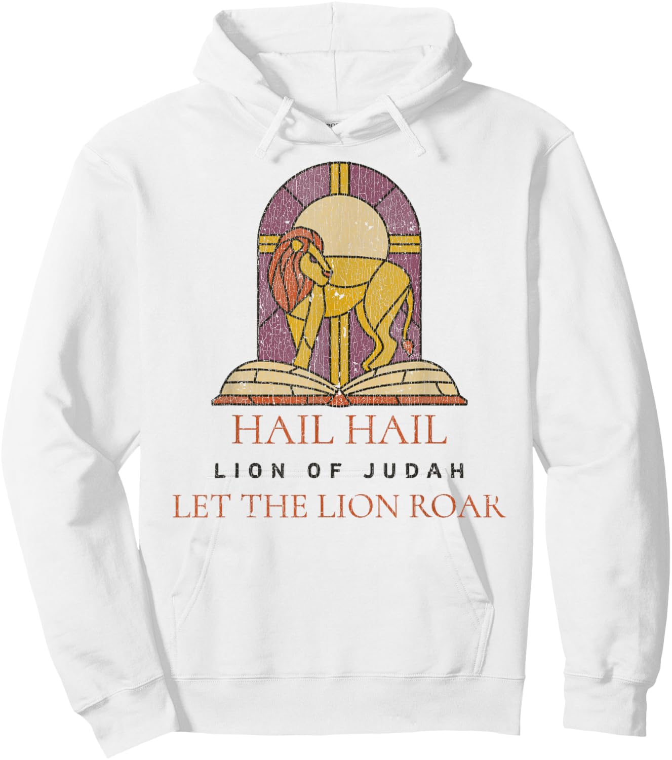 Hail Hail Lion Of Judah Let The Lion Roar Lyrics Jesus Hoodie - Hoodie | White