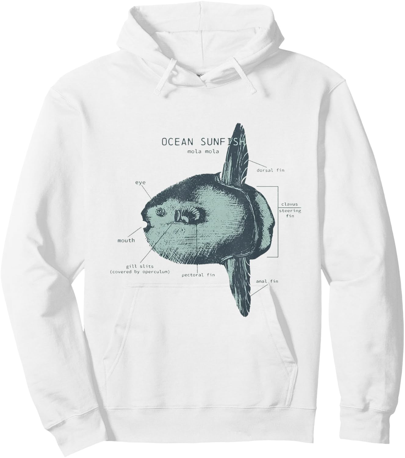 Ocean Sunfish Anatomy Marine Biologist Hoodie - Hoodie | White