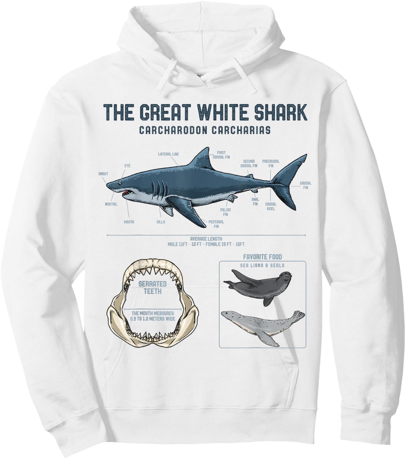 Great White Shark Anatomy Shirt - Shark Marine Biologist Hoodie - Hoodie | White