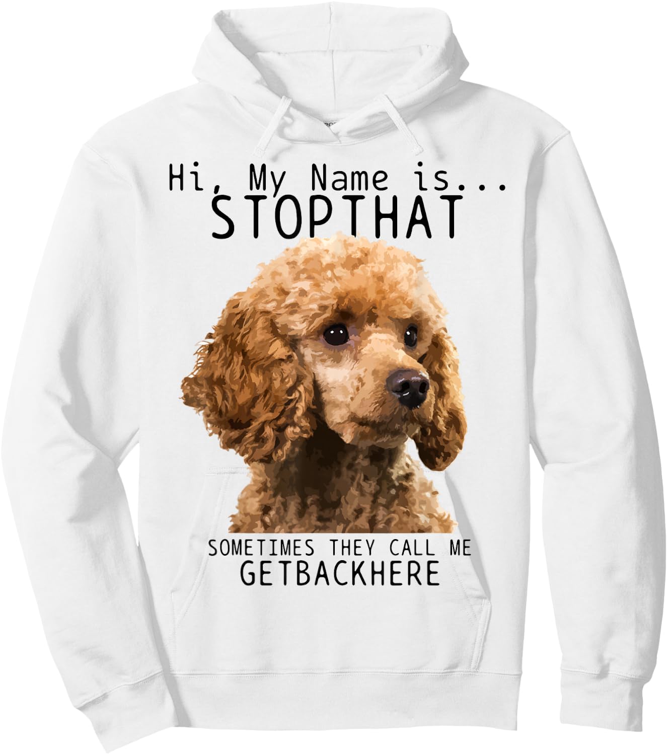 Poodle Hi My Name Is Stop That Cute Funny Dog Poodle Mom Hoodie - Hoodie | White