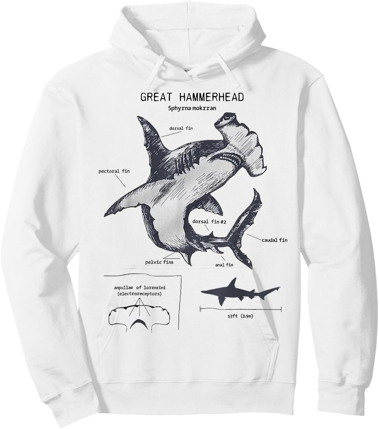 Great Hammerhead Anatomy Marine Biologist Hoodie - Hoodie | White