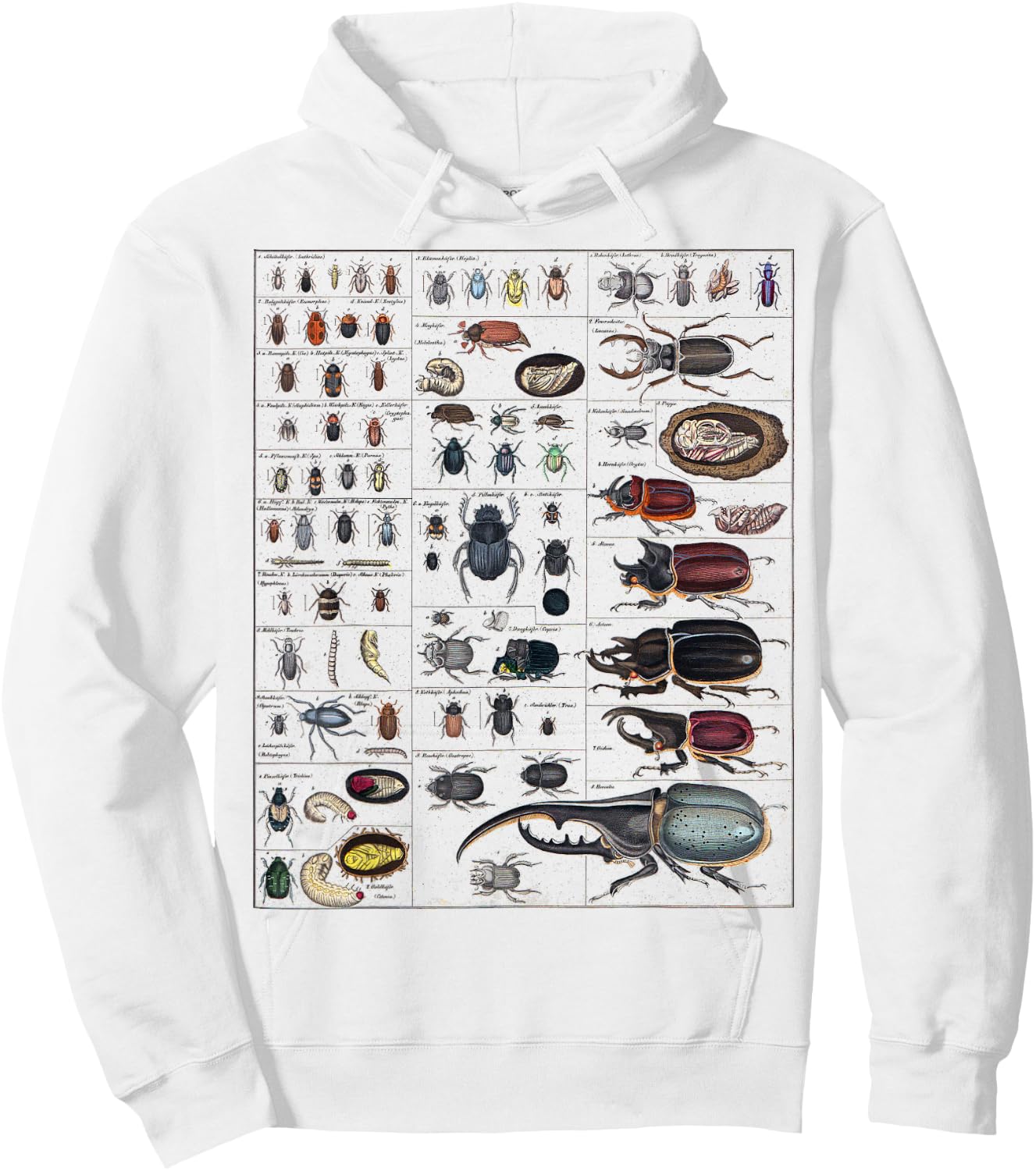 Insects Collection Species Bugs vintage Chart Entomology Hoodie - Hoodie | White