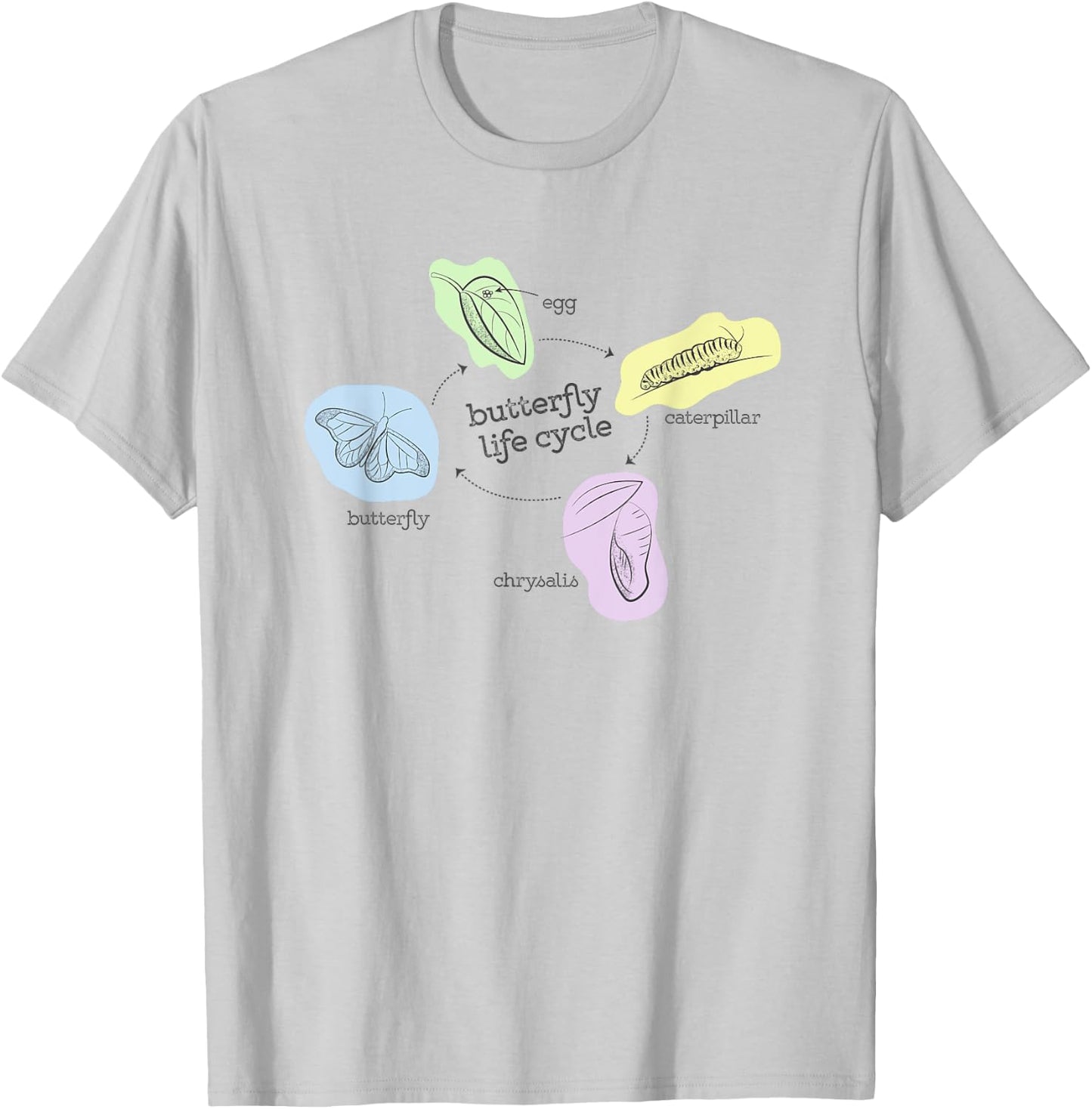 Butterfly Life Cycle T-Shirt - T-Shirt | Ash
