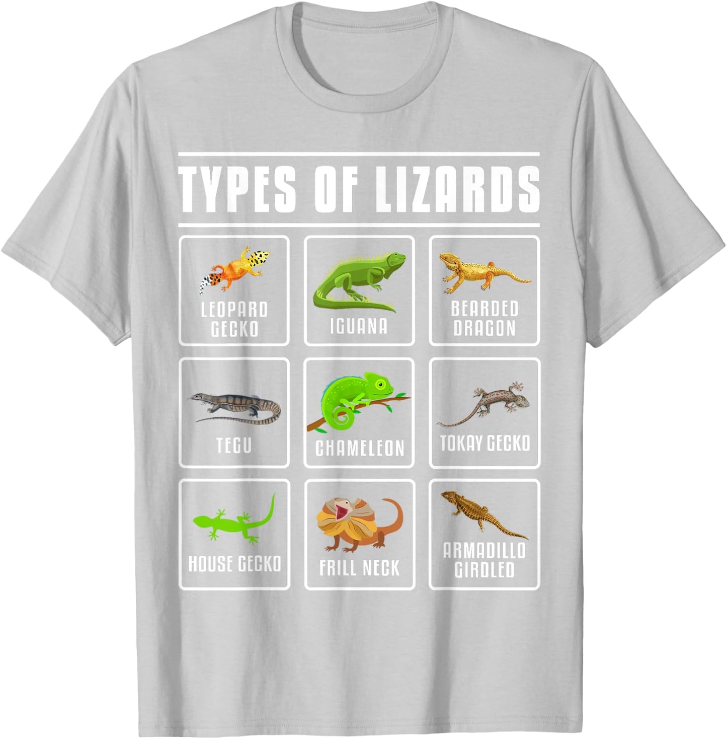 Types of Lizards Lizard Reptiles T-Shirt - T-Shirt | Ash