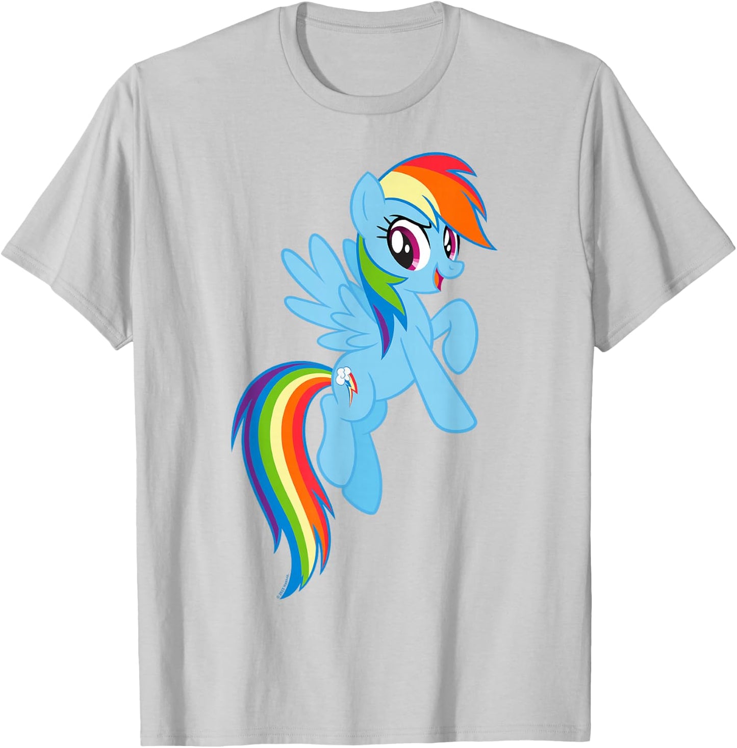 My Little Pony: Friendship is Magic Big Rainbow Dash T-Shirt - T-Shirt | Ash