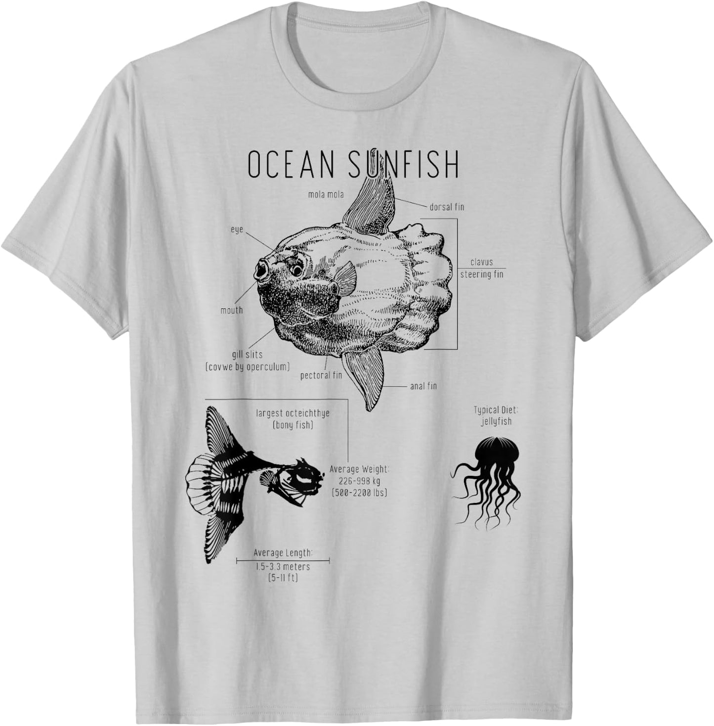 Ocean Sunfish Common Mola Anatomy Mola Mola T-Shirt - T-Shirt | Ash