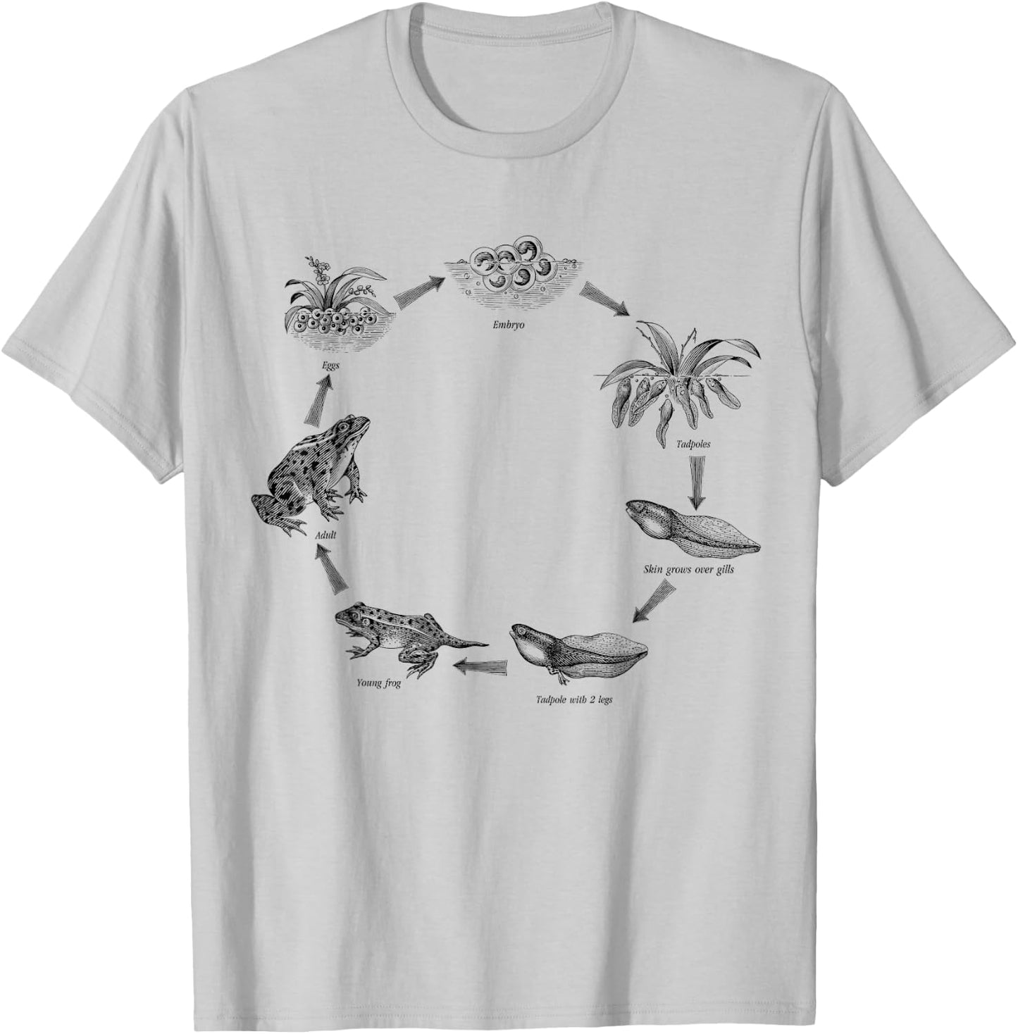 Life cycle of frog, biologist, zoologist, Herpetologist T-Shirt - T-Shirt | Ash