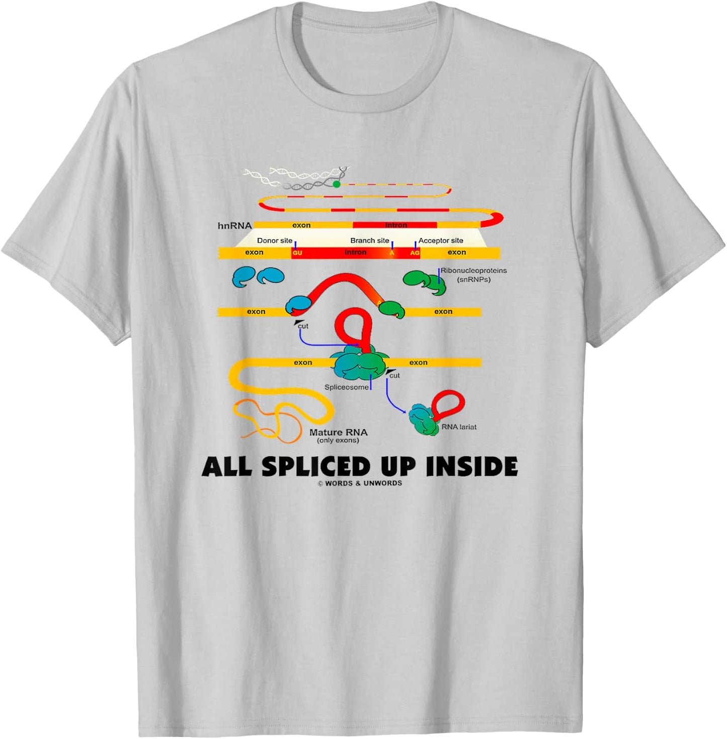 All Spliced Up Inside Mature RNA Gene Splicing Geek Humor T-Shirt - T-Shirt | Ash
