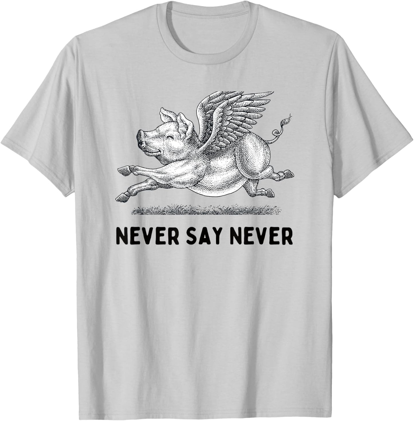 Never Say Never Inspiring Flying Pig Embrace Impossibity T-Shirt - T-Shirt | Ash