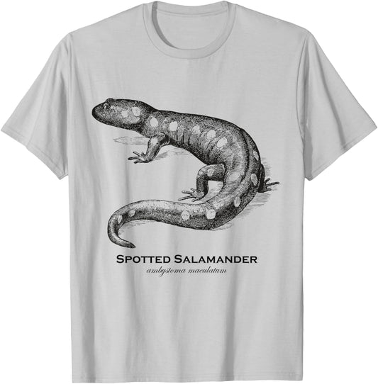 Vintage Animal Retro Wildlife Spotted Salamander T-Shirt - T-Shirt | Ash