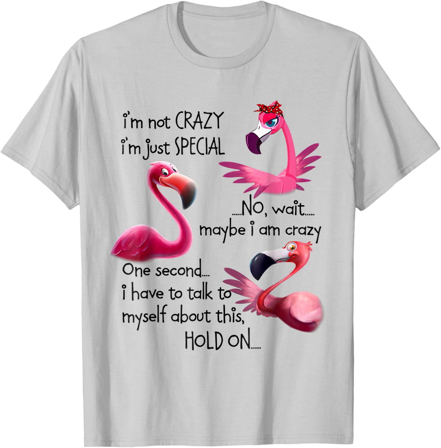 I'm Not Crazy I'm Just Special Funny Flamingo Saying T-Shirt - T-Shirt | Ash